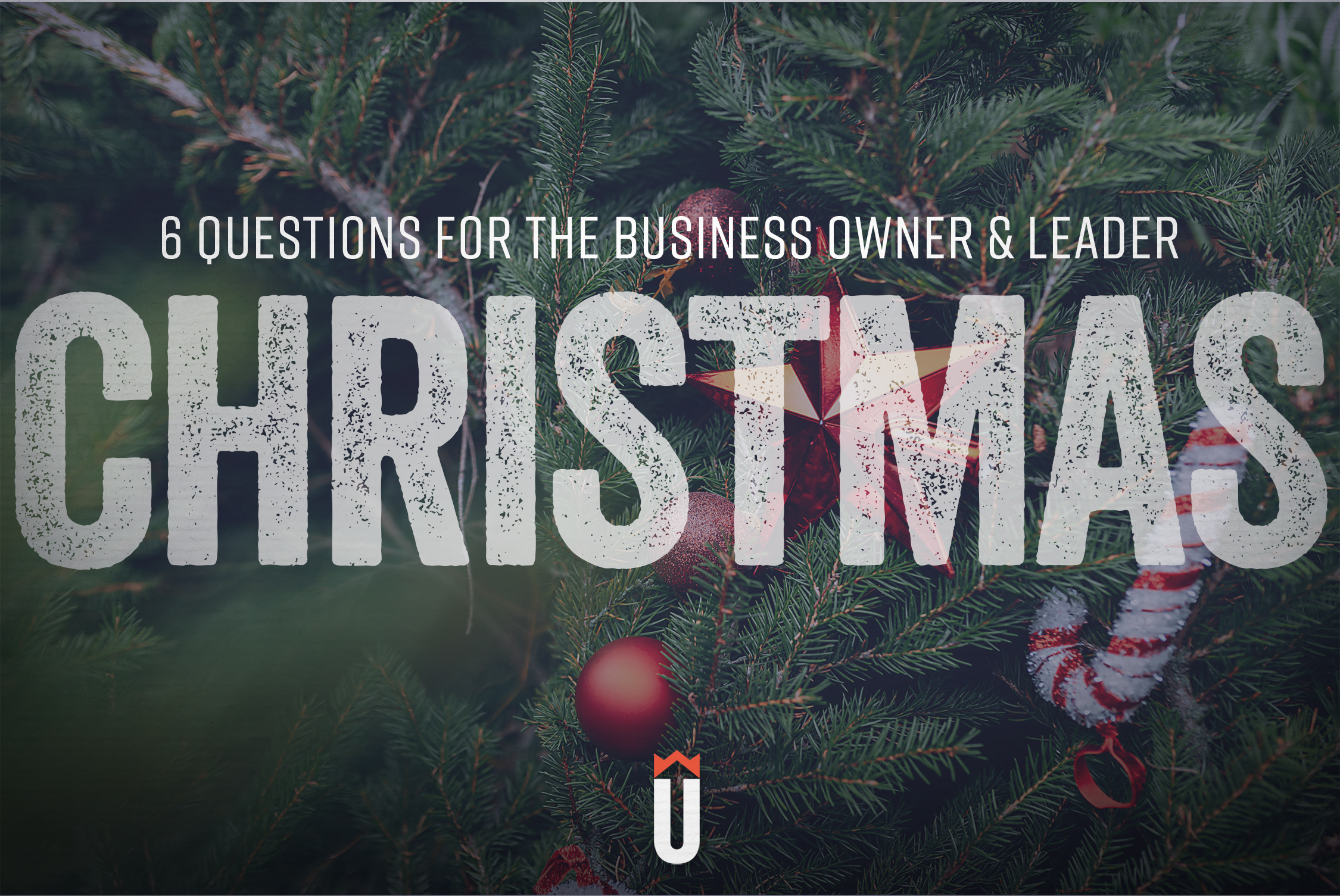 Christmas-6-questions.jpg#asset:2181